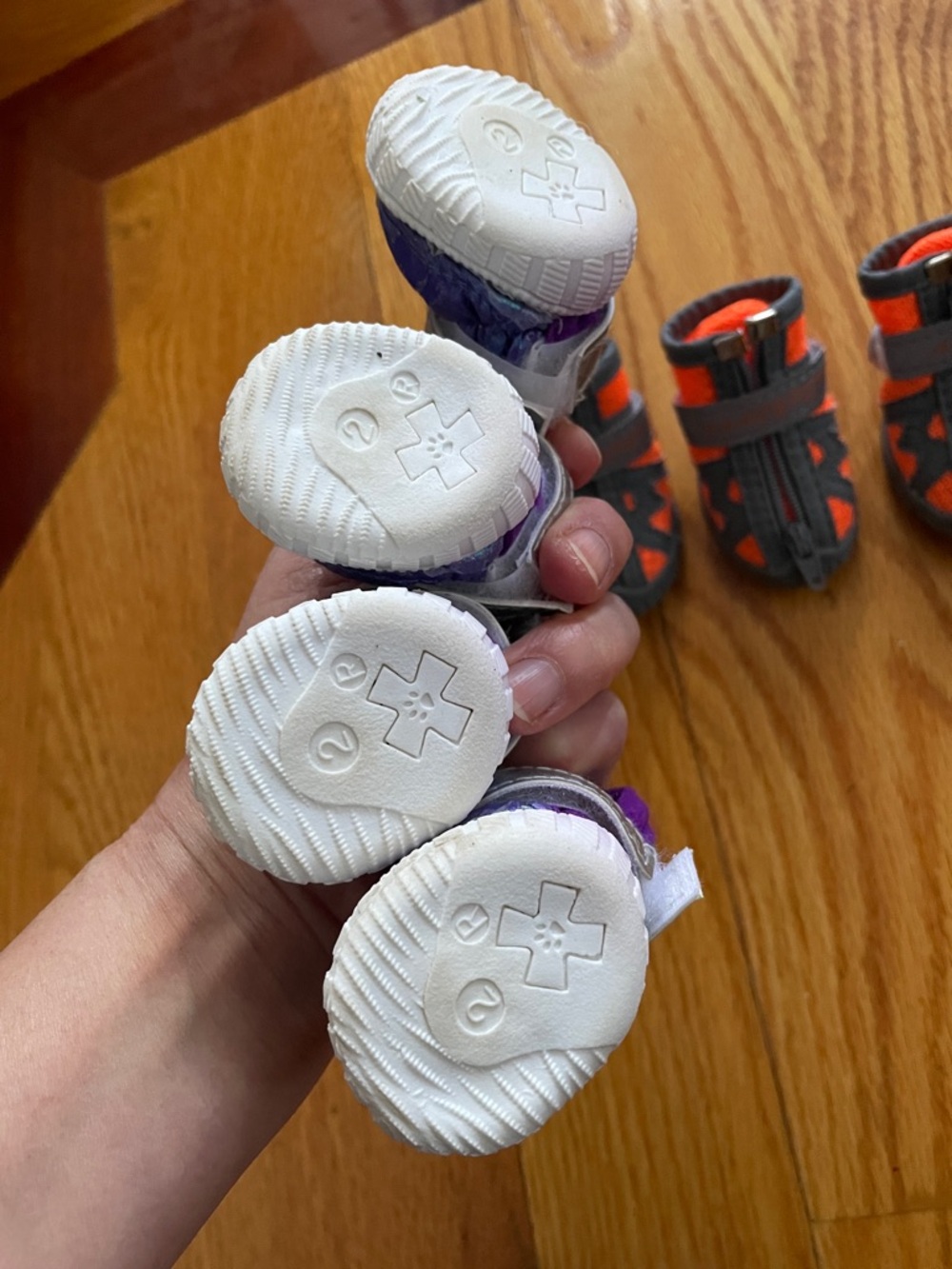 2 sets of Dog shoes (XS dog) - Picture 3 of 3